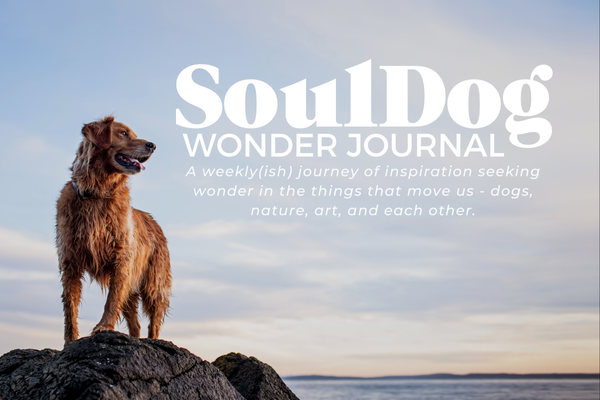 Welcome to SoulDog Wonder Journal.